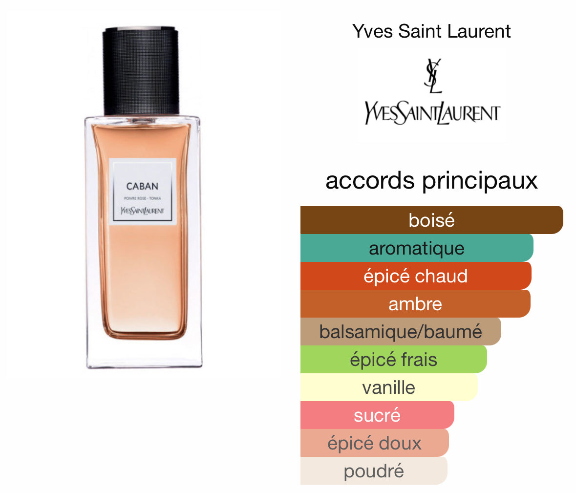 Caban YSL