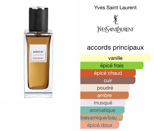Babycat YSL