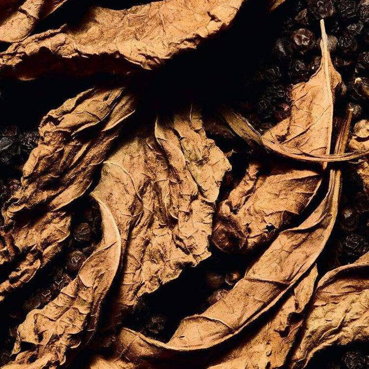 L’univers du parfum : plus qu’une culture, un art olfactif